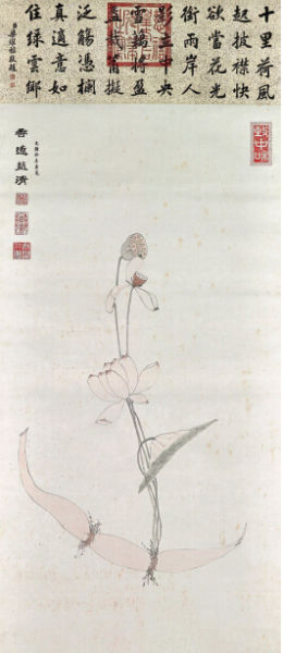 菡萏荷藕图 企业家收藏网