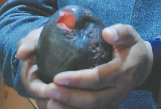原石 中国企业家收藏网
