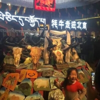 牦牛走进北京——高原牦牛文化展