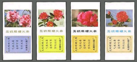 图片10