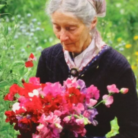 92岁的她隐居山间，画画养花，活成了仙女的模样！